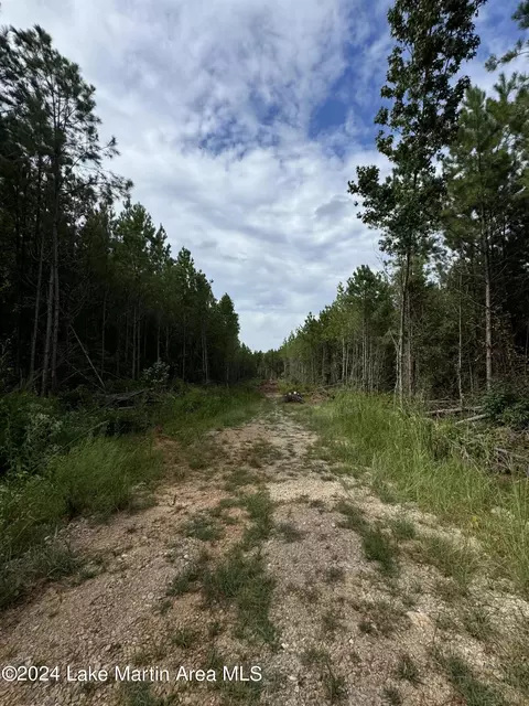 County Road 34 Parcel A, Dadeville, AL 36853