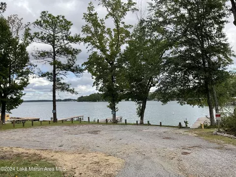 157 Beach Dr, Eclectic, AL 36024 photo 31