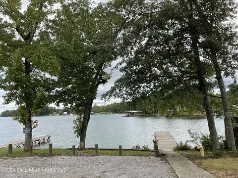 157 Beach Dr, Eclectic, AL 36024 photo 33