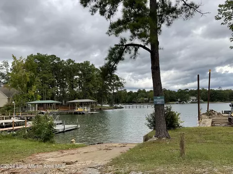 157 Beach Dr, Eclectic, AL 36024 photo 34