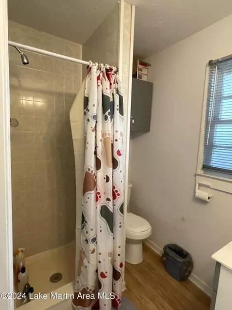 157 Beach Dr, Eclectic, AL 36024 photo 17