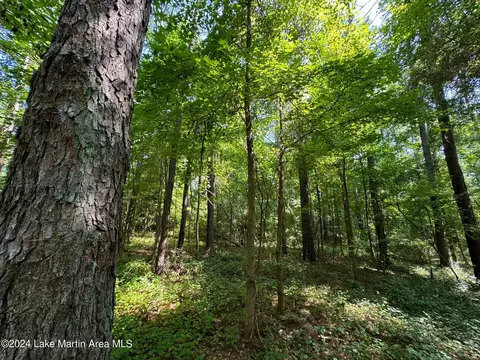 17 Acre 8th St SW, Lanett, AL 36863