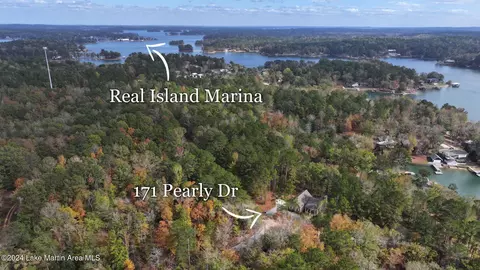 171 Pearly Dr, Equality, AL 36026 photo 40