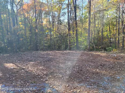 249 Cove Dr, Eclectic, AL 36024