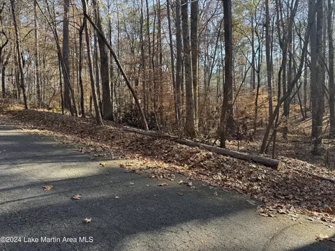 lot92 Tall Pine Pl, Dadeville, AL 36853