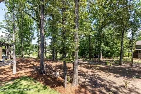 294 Old Jay Rd, Eclectic, AL 36024 photo 47