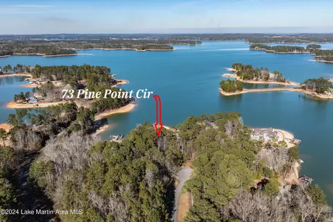 73 Pine Point Cir, Eclectic, AL 36024 photo 3