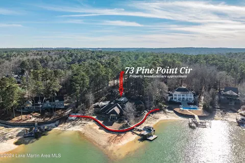 73 Pine Point Cir, Eclectic, AL 36024 photo 8