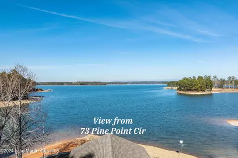 73 Pine Point Cir, Eclectic, AL 36024 photo 2