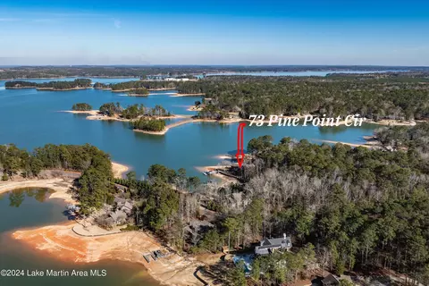 73 Pine Point Cir, Eclectic, AL 36024 photo 5