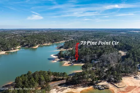 73 Pine Point Cir, Eclectic, AL 36024 photo 6