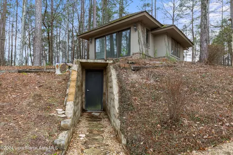 73 Pine Point Cir, Eclectic, AL 36024 photo 80