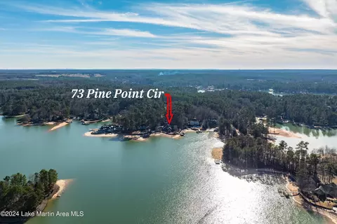 73 Pine Point Cir, Eclectic, AL 36024 photo 7