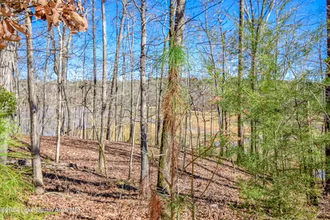 60 Spradley Rd, Eclectic, AL 36024 photo 96