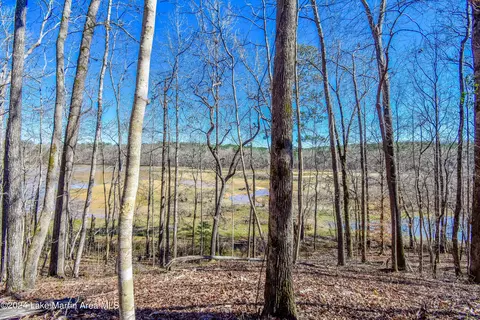 60 Spradley Rd, Eclectic, AL 36024 photo 6