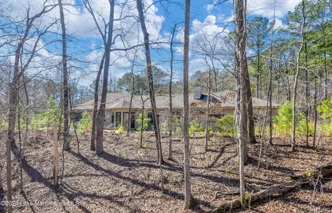 60 Spradley Rd, Eclectic, AL 36024 photo 99