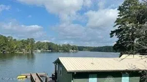 237 Lake Point Cir, Jacksons Gap, AL 36861 photo 6
