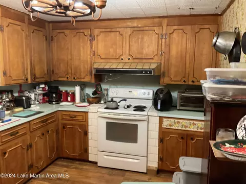 3876 Cotton Rd, Eclectic, AL 36024 photo 68