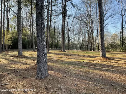 3876 Cotton Rd, Eclectic, AL 36024 photo 81