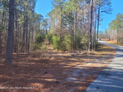 10 5 Acres Mccain Rd, Eclectic, AL 36024 photo 4