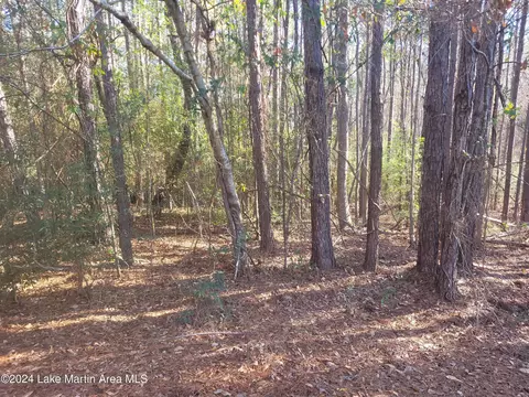 10 5 Acres Mccain Rd, Eclectic, AL 36024