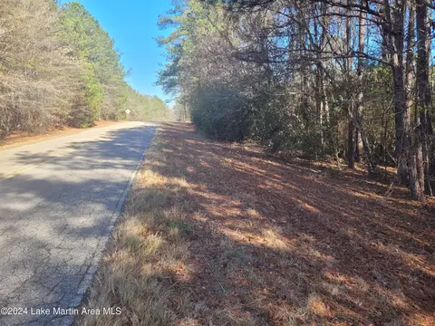 10 5 Acres Mccain Rd, Eclectic, AL 36024 photo 2