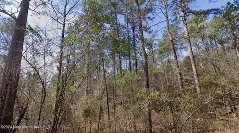 0 Ridge Dr, Dadeville, AL 36853