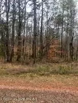 0 Lime Ln, Dadeville, AL 36853