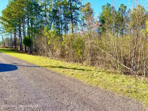 3 Acres Oak Ridge Rd, Dadeville, AL 36853