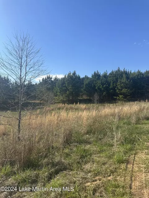 1 Obed Loop, Dadeville, AL 36853