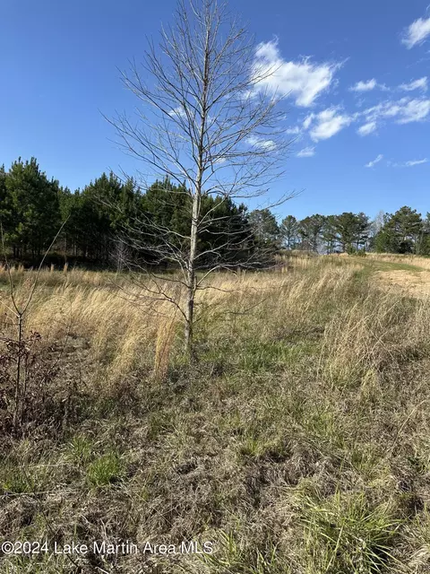 3 Obed Loop, Dadeville, AL 36853