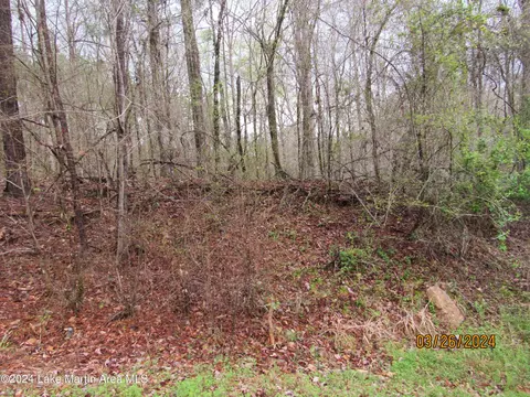 Old Hickory Rd, Alexander City, AL 35010