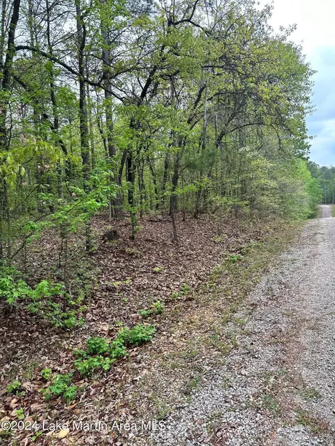 lot S 910 Lime Ln, Dadeville, AL 36853