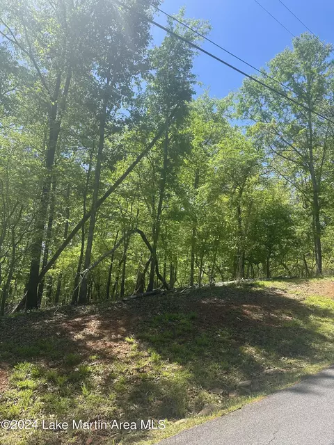 lot30 Lakeview Rdg, Dadeville, AL 36853