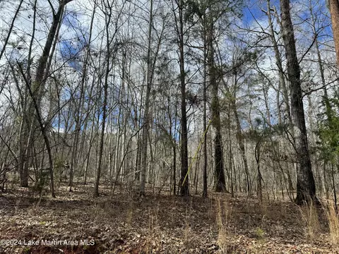 Herren Camp Rd, Dadeville, AL 36853