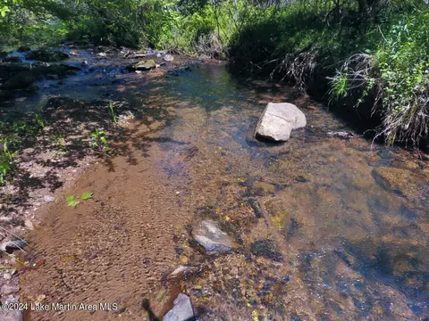 301 Acres, Weogufka, AL 35183