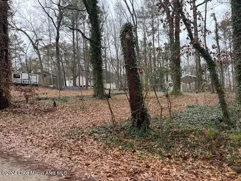 105 Pine Dr, Eclectic, AL 36024 photo 2