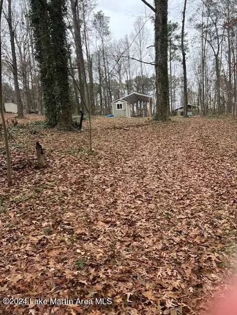 105 Pine Dr, Eclectic, AL 36024 photo 4