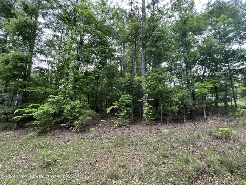 lot4 Buckskin Crt Crt, Dadeville, AL 36853
