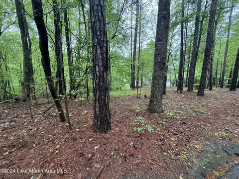lot54 Chinquapin Crt Crt, Dadeville, AL 36853