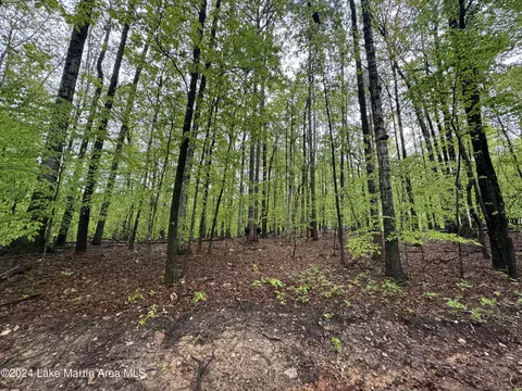 lot16 Greenview Ter, Dadeville, AL 36853