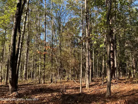 lot15 Buckview Ln, Dadeville, AL 36853