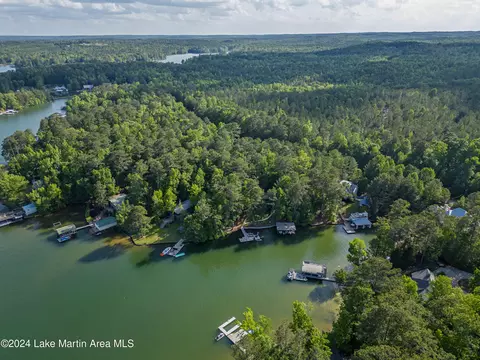 472 Needle Eye Rd, Equality, AL 36026 photo 6