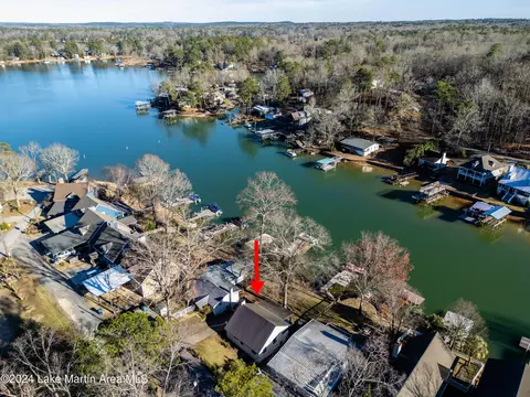146 Pine Dr, Eclectic, AL 36024 photo 29