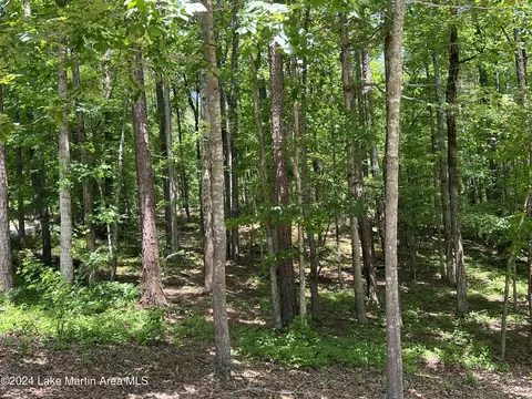 lot44 Wild Cherry Ln, Dadeville, AL 36853
