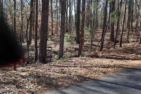 lot20 Lakewood Ln, Dadeville, AL 36853