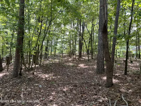 lot25 Fern Ridge Dr, Dadeville, AL 36853