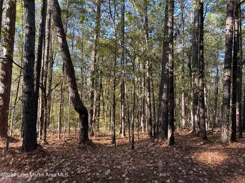 lot2 Stagecoach Rd, Dadeville, AL 36853