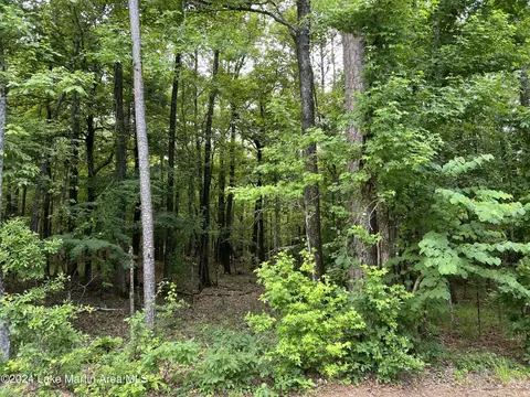 lot9 Stillwaters Dr, Dadeville, AL 36853