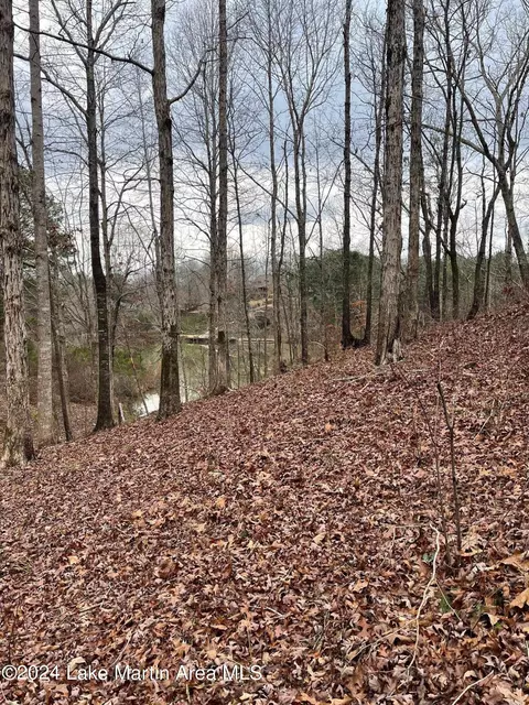 lot17 Murphy Dam Road Rd, Dadeville, AL 36853